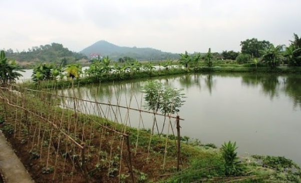 Bố trí không gian khoa học giúp bà con nông dân quản lý trang trại dễ dàng