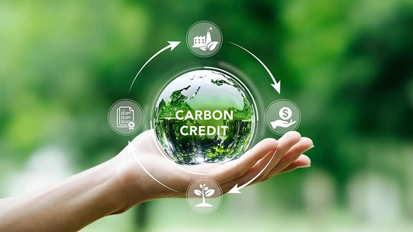 1 tín chỉ carbon bao nhiêu tiền? Cập nhật bảng giá thị trường mới nhất 2026