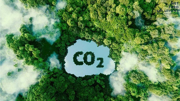 Lưu ý quan trọng về mua bán tín chỉ carbon tại Việt Nam