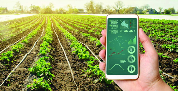 Phân tích dữ liệu đất đai và cây trồng chuyên sâu trên nền tảng Agrivi