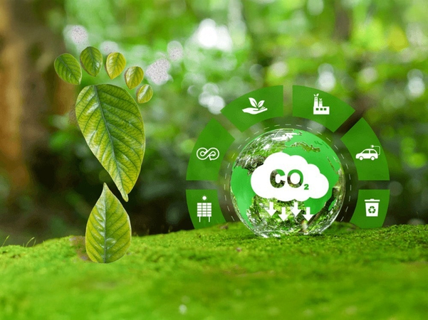 Sàn giao dịch carbon quốc gia Việt Nam tạo ra bước ngoặt mới cho giá trị tài sản xanh nội địa