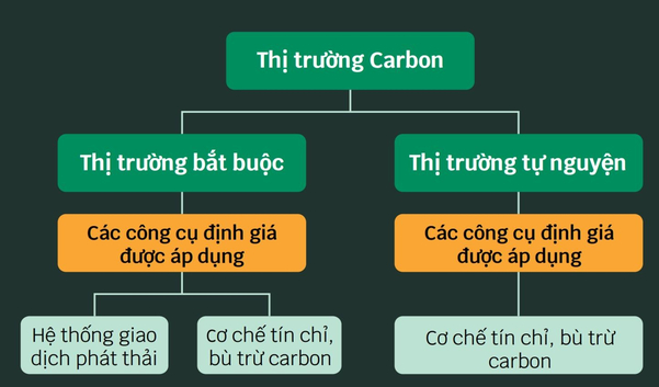 Sơ đồ quy trình 5 bước cơ bản để bán tín chỉ carbon ra thị trường