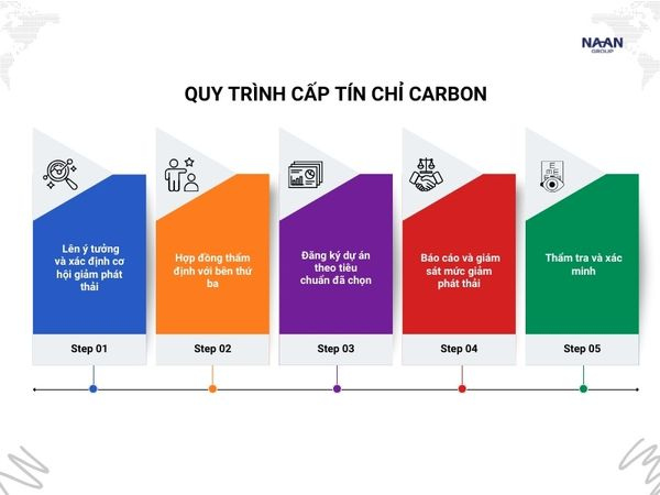Sơ đồ quy trình thực hiện các bước đo lường tín chỉ carbon tiêu chuẩn
