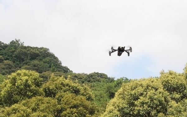 Sử dụng công nghệ flycam để giám sát sức khỏe rừng tại Thừa Thiên Huế