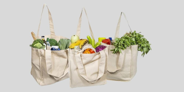Sử dụng túi vải đi chợ thay cho túi nilon dùng một lần