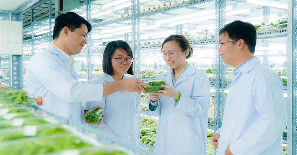 Sự phân hóa chất lượng quyết định mức chênh lệch giá khổng lồ trên thị trường tự nguyện