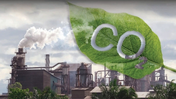 1 tín chỉ carbon bao nhiêu tấn CO2? Tìm hiểu chi tiết về thị trường carbon