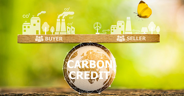 Hướng dẫn cách bán tín chỉ carbon chi tiết và hiệu quả nhất